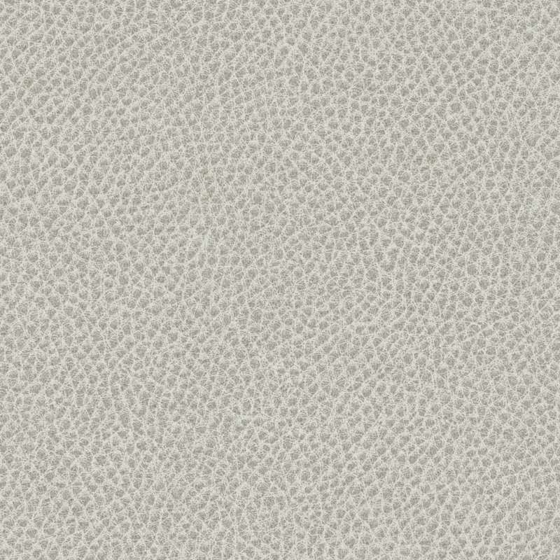 Nomad Quartz