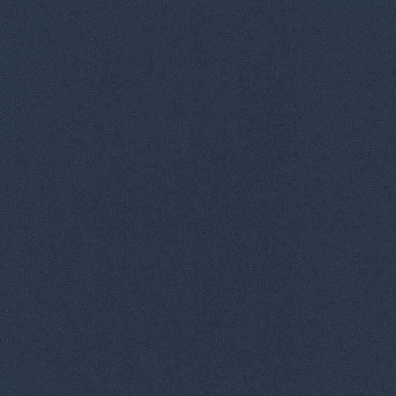 Neo Midnight