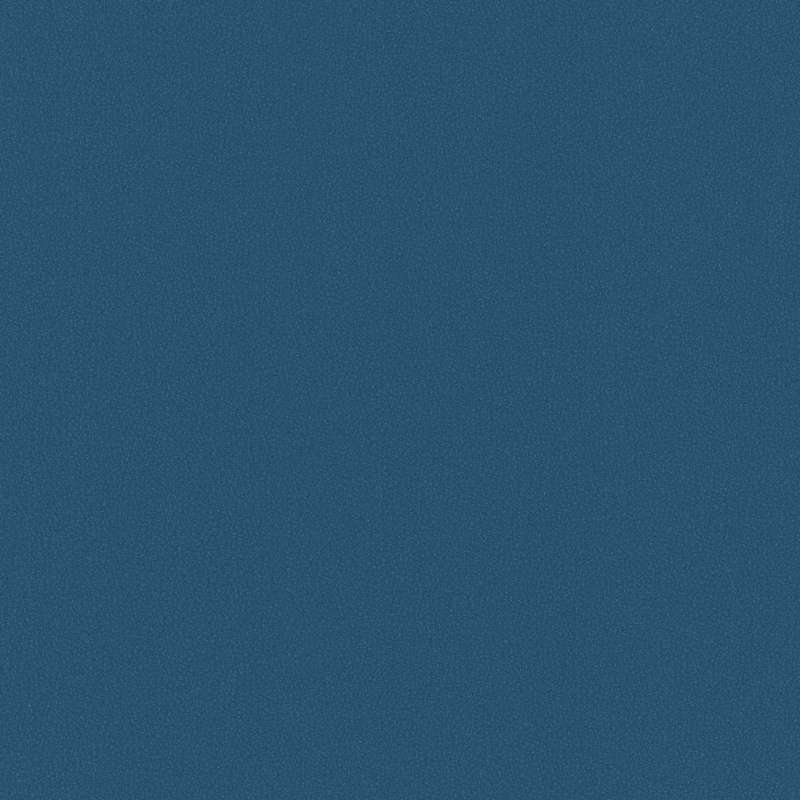 Neo Oceanside