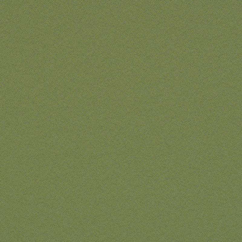 Ace Tarragon