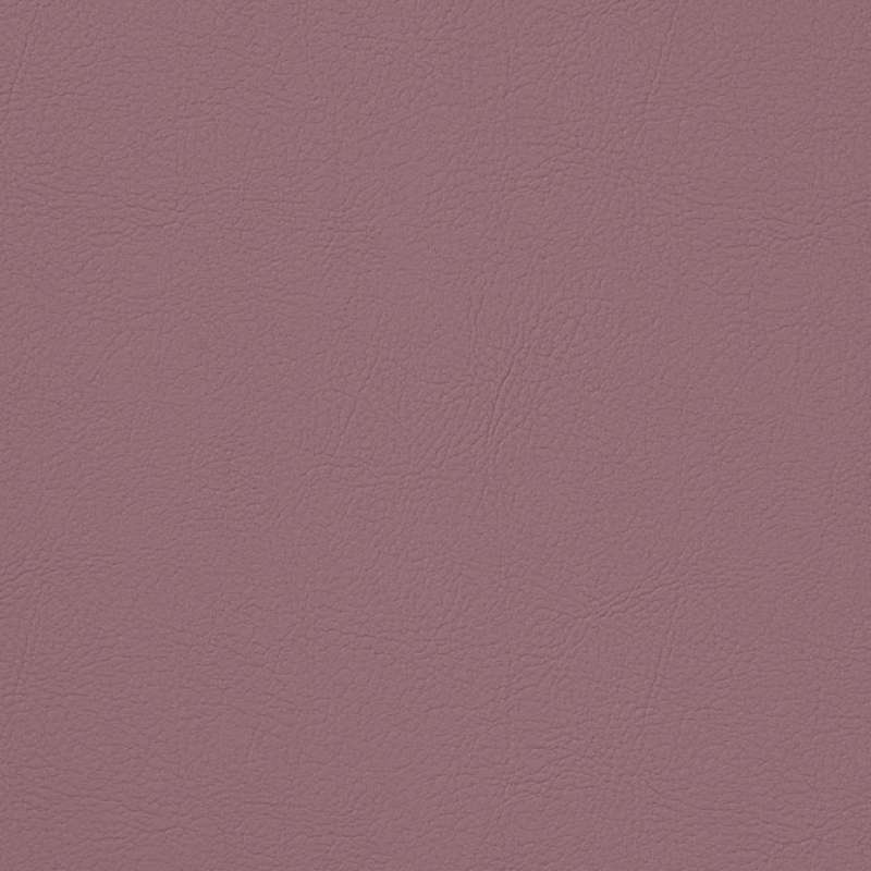 Alamo Mulberry