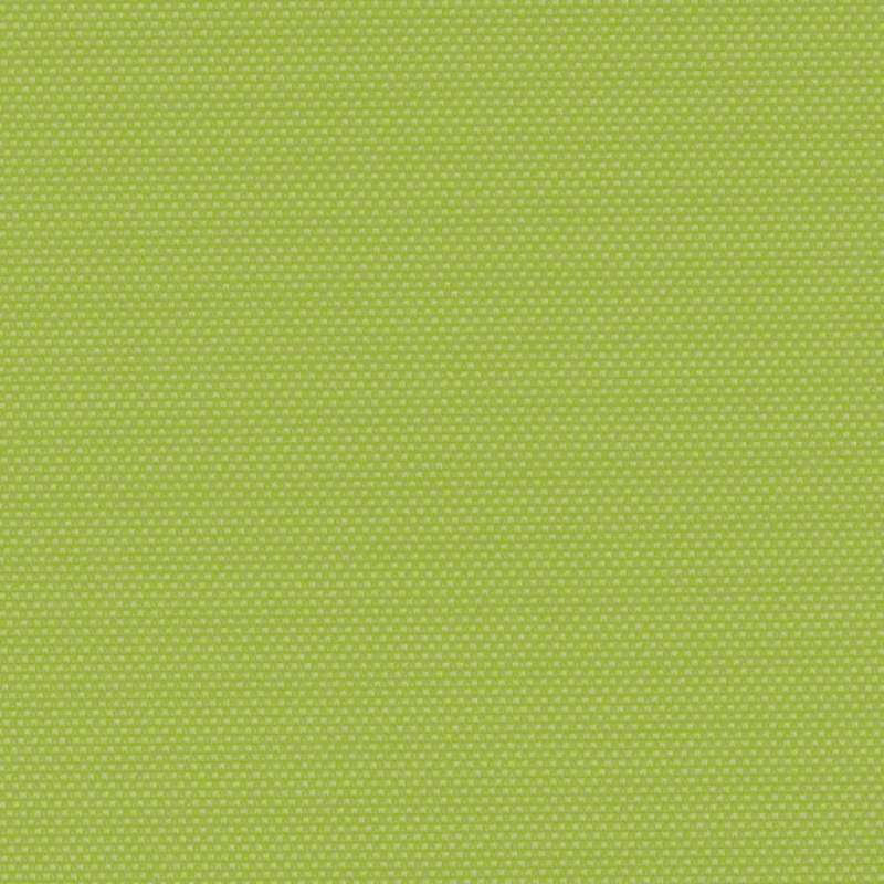 Amplify Parakeet