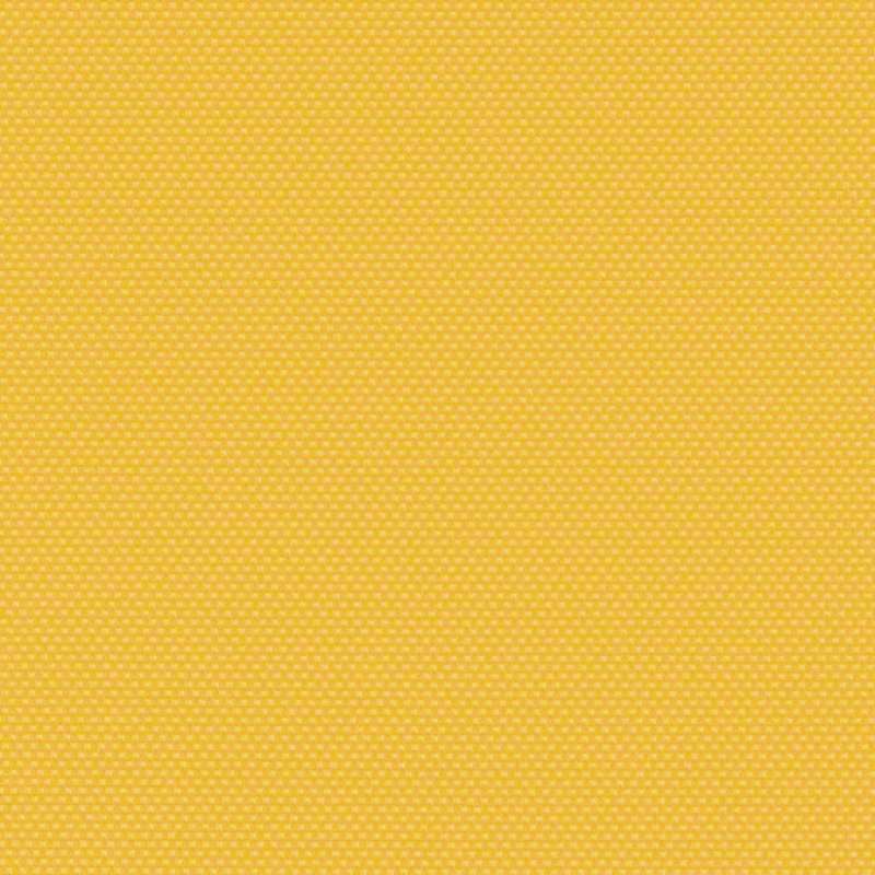 Amplify Marigold