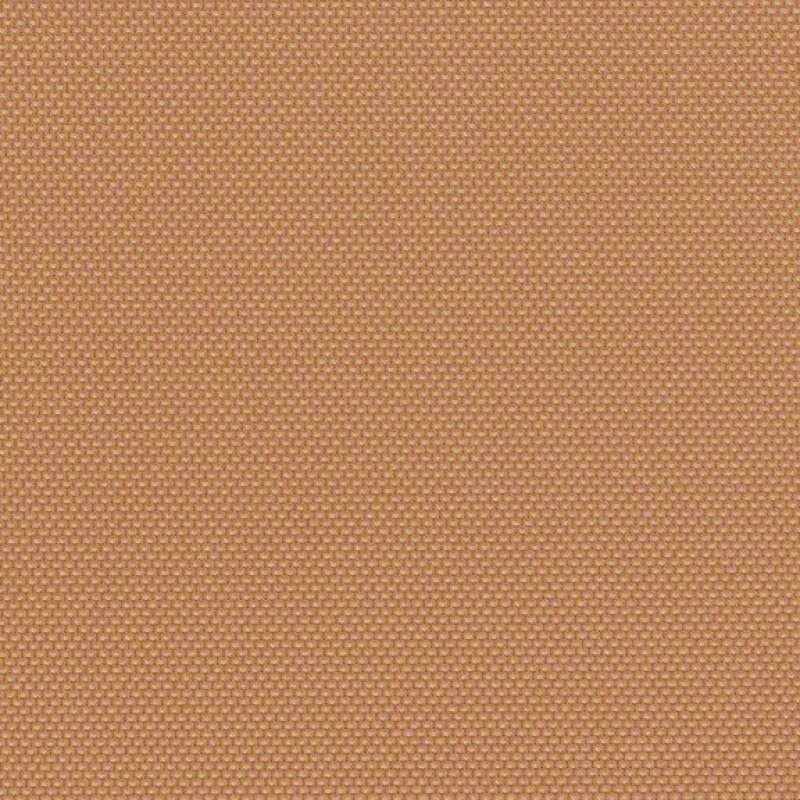 Amplify Rose Gold