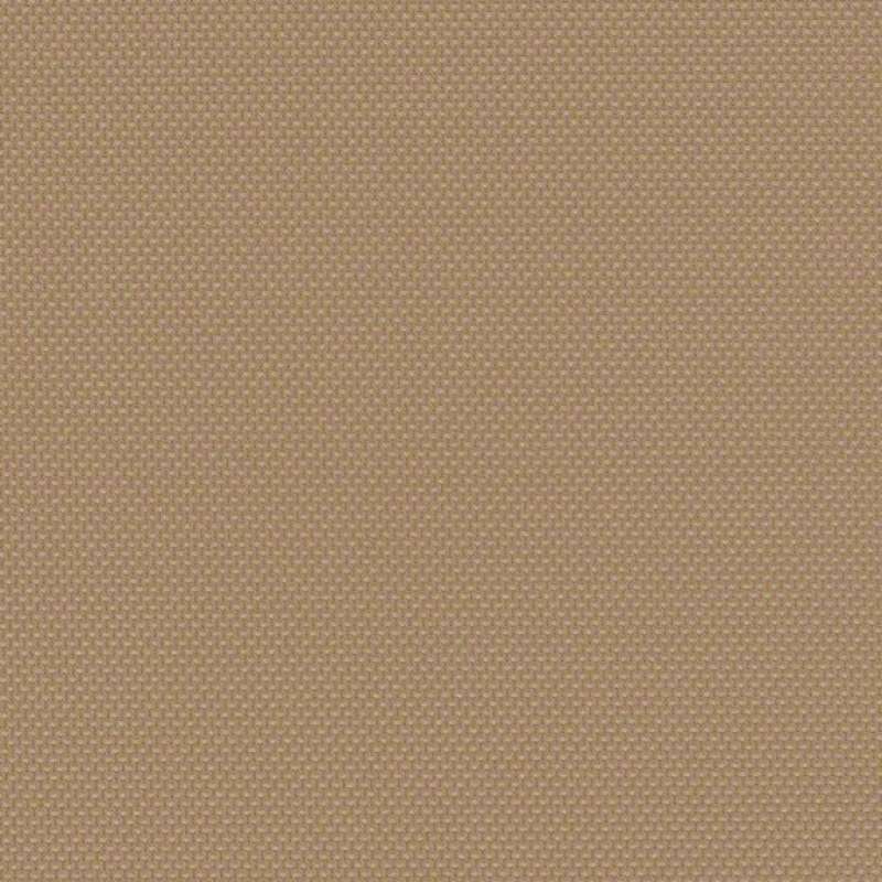 Amplify Tan