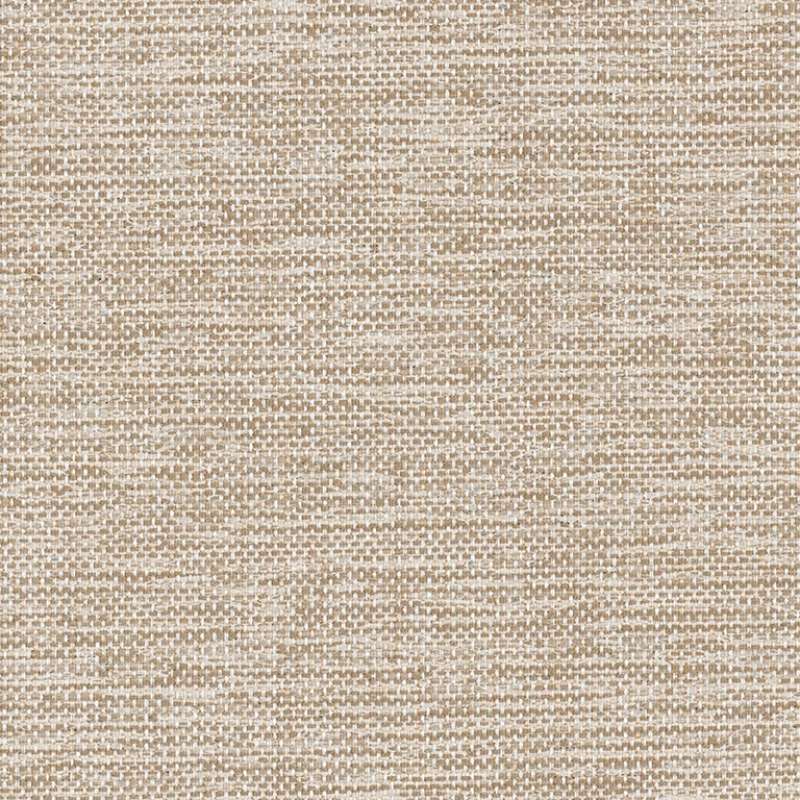 Apprentice Sisal