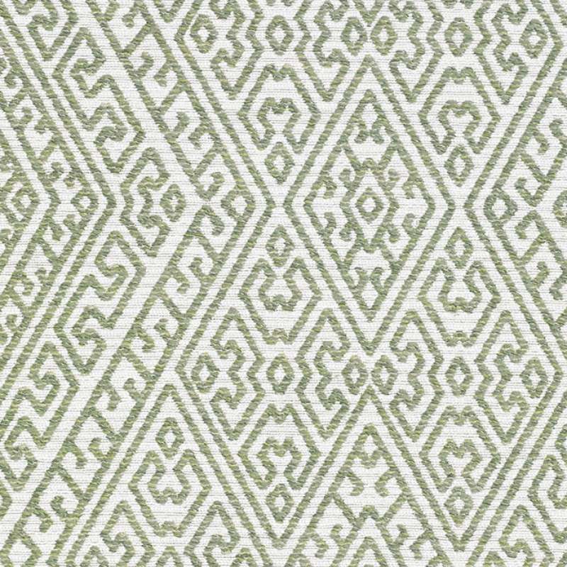 Athena Olive Tree