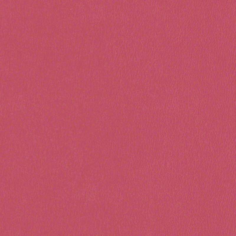 Avant Raspberry