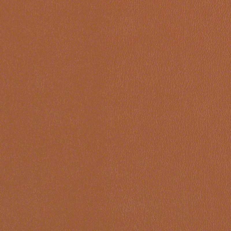 Avant Cinnamon