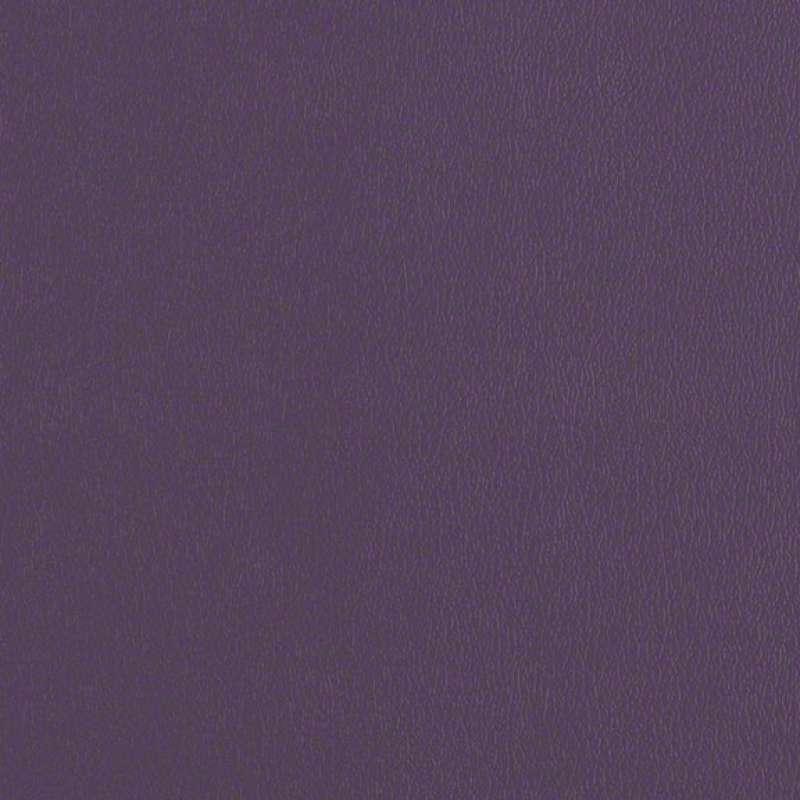 Avant Dark Purple