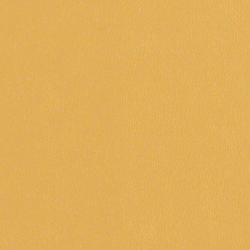 Avant Goldenrod