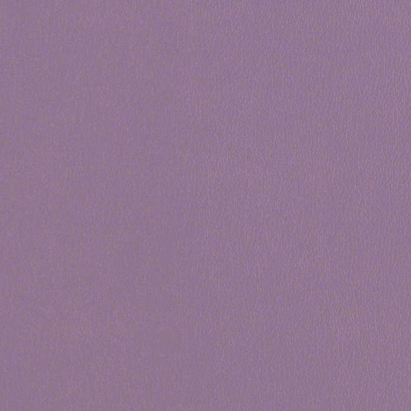 Avant Crocus