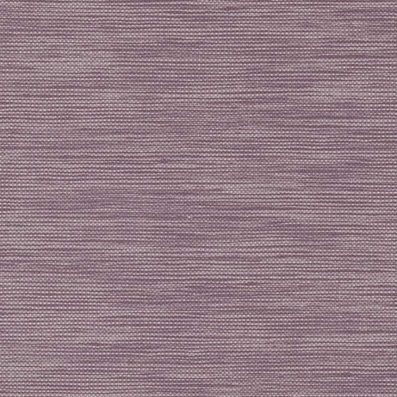 Bond Allium