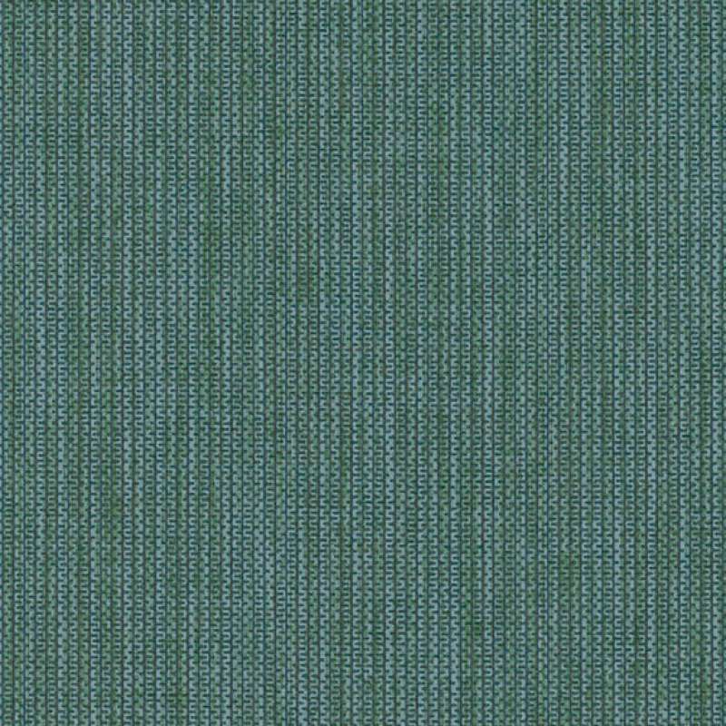Box Chain Evergreen
