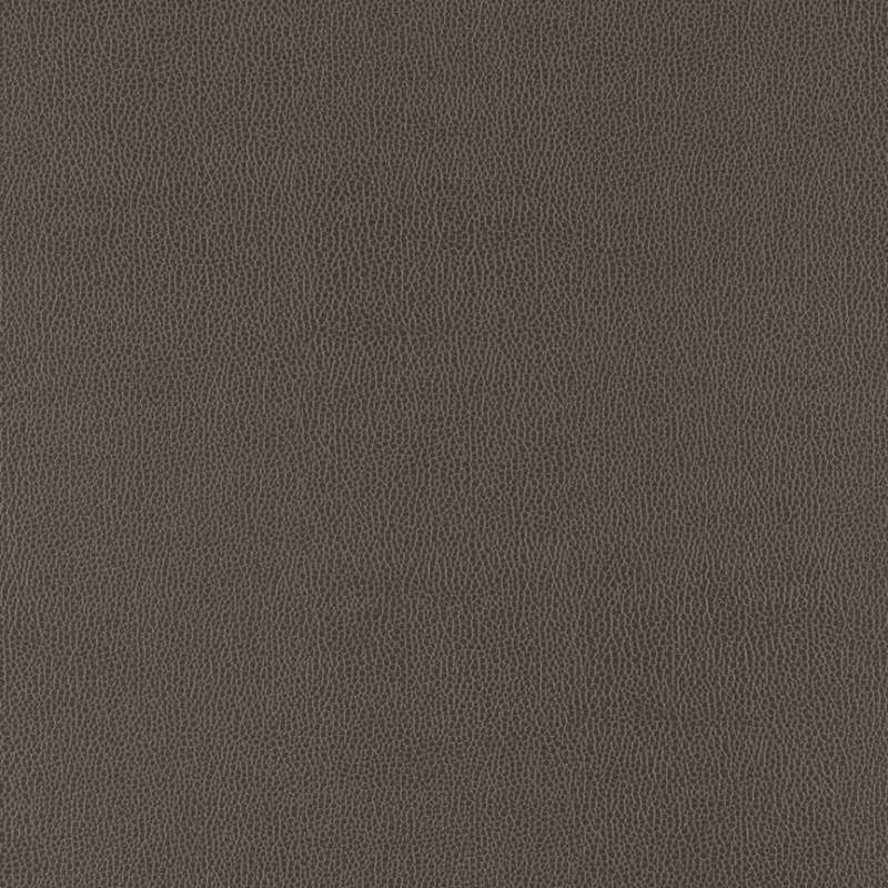Buckaroo Gray Wolf