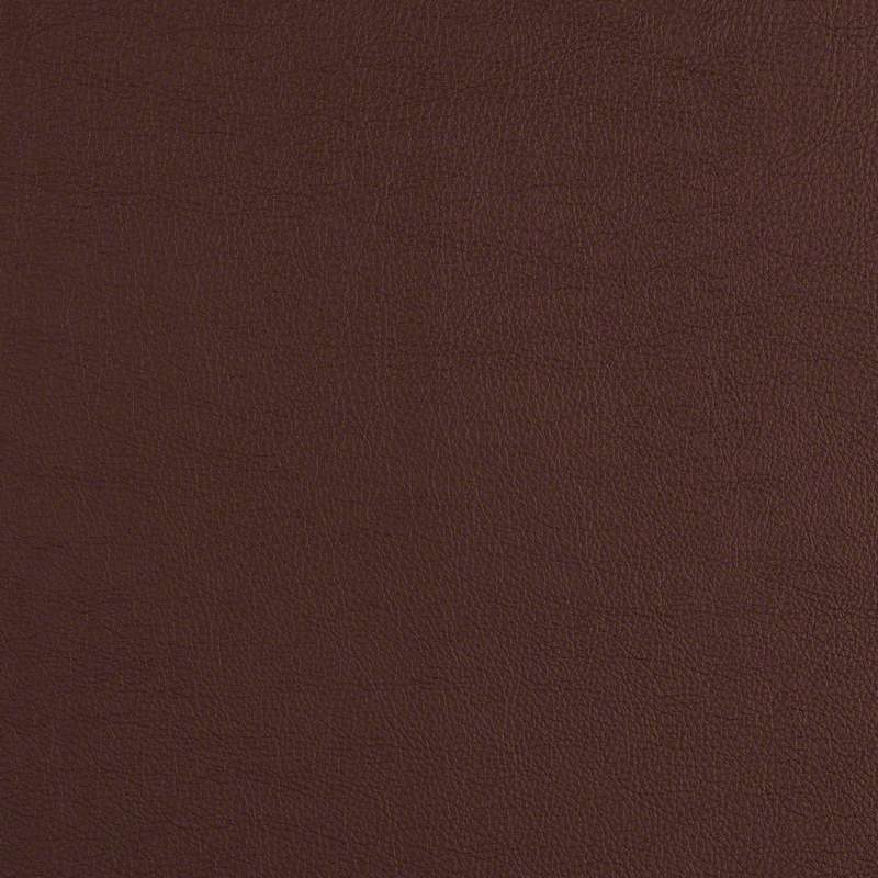 Cassidy 2.0 Black Raspberry