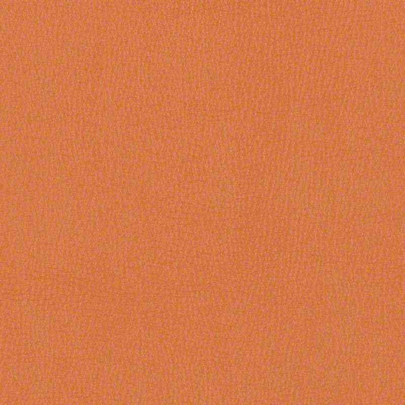 Citadel Copper