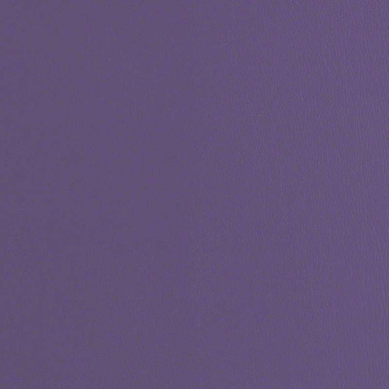 Core 2.0 New Purple