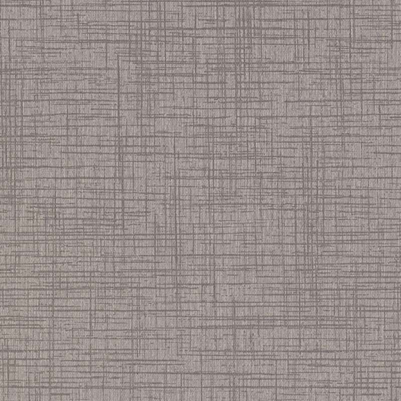 Criss Cross 2.0 Titanium