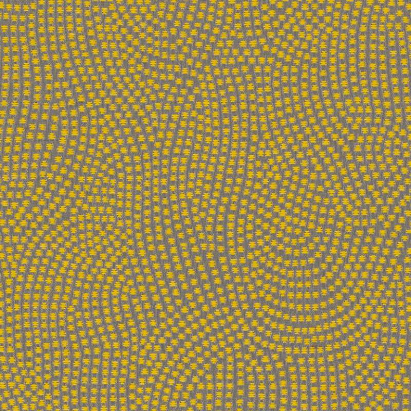 Eddy Sunflower