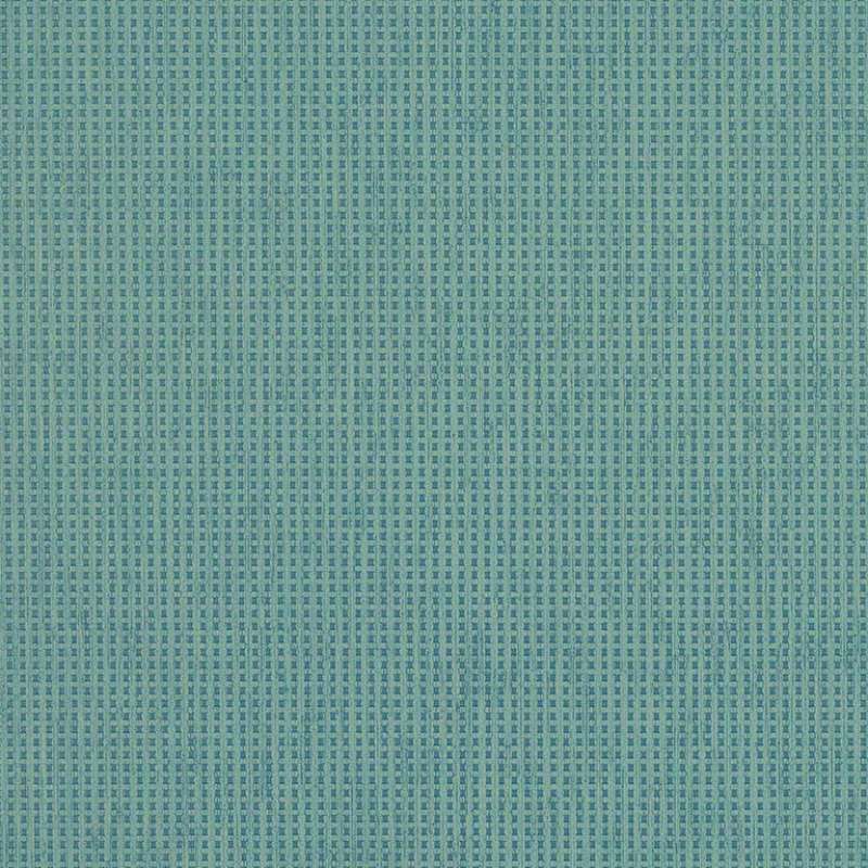 Eli Sunlit Sea