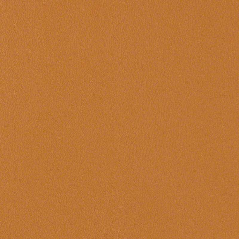 Essential Butterscotch