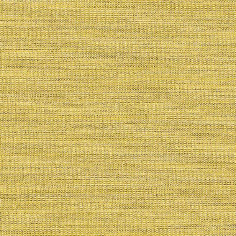 Fleck Canary