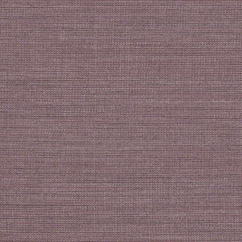 Fleck Suite