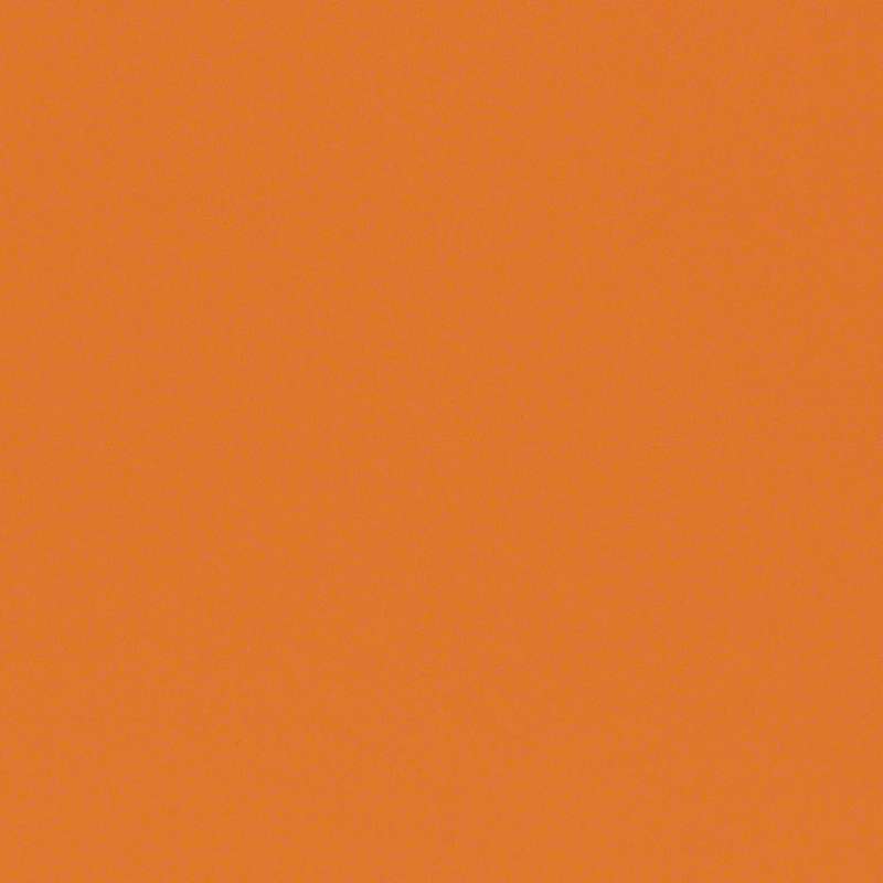 Kid Orange