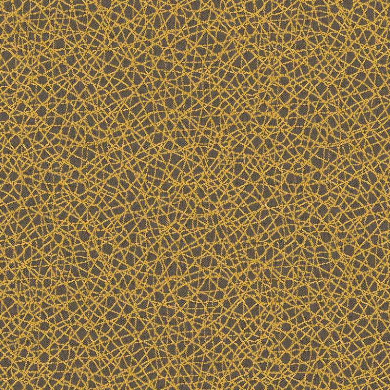 Kinetic Acacia