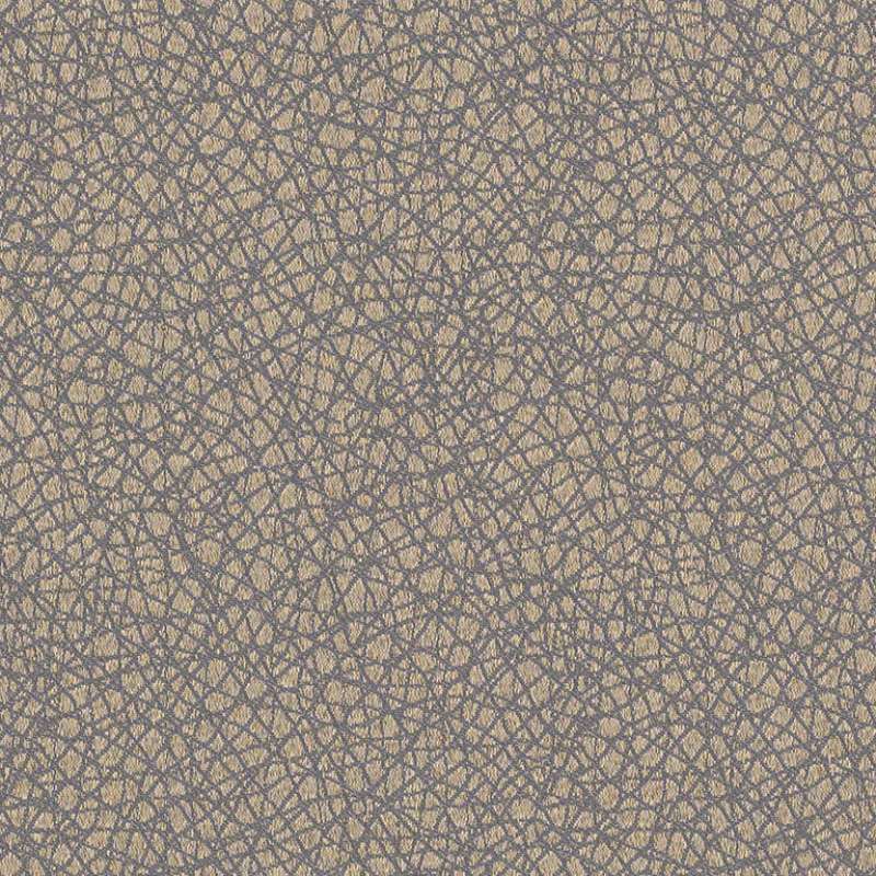 Kinetic Cadmium