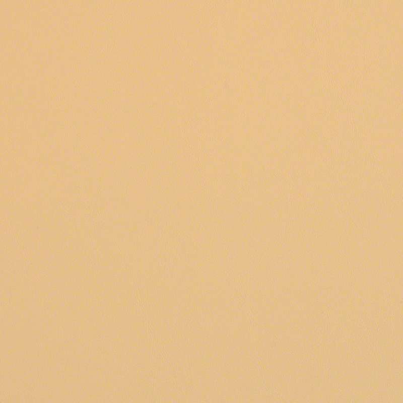 Laredo Camel