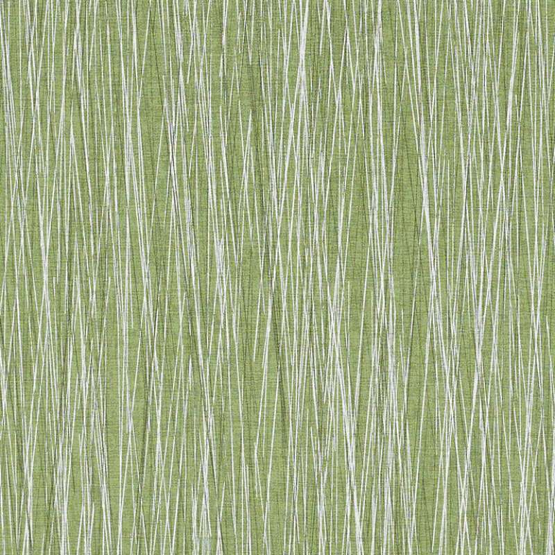 Live Wire Lemongrass