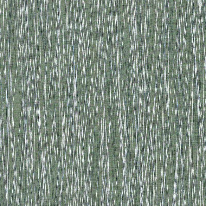 Live Wire Palm