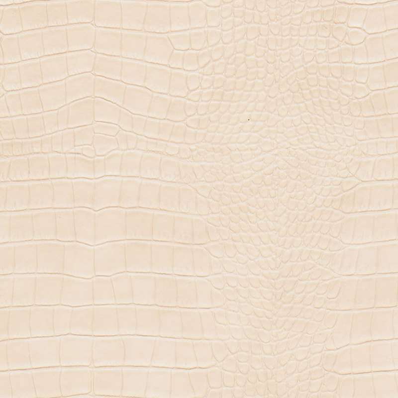 Mock Croc Sandbank