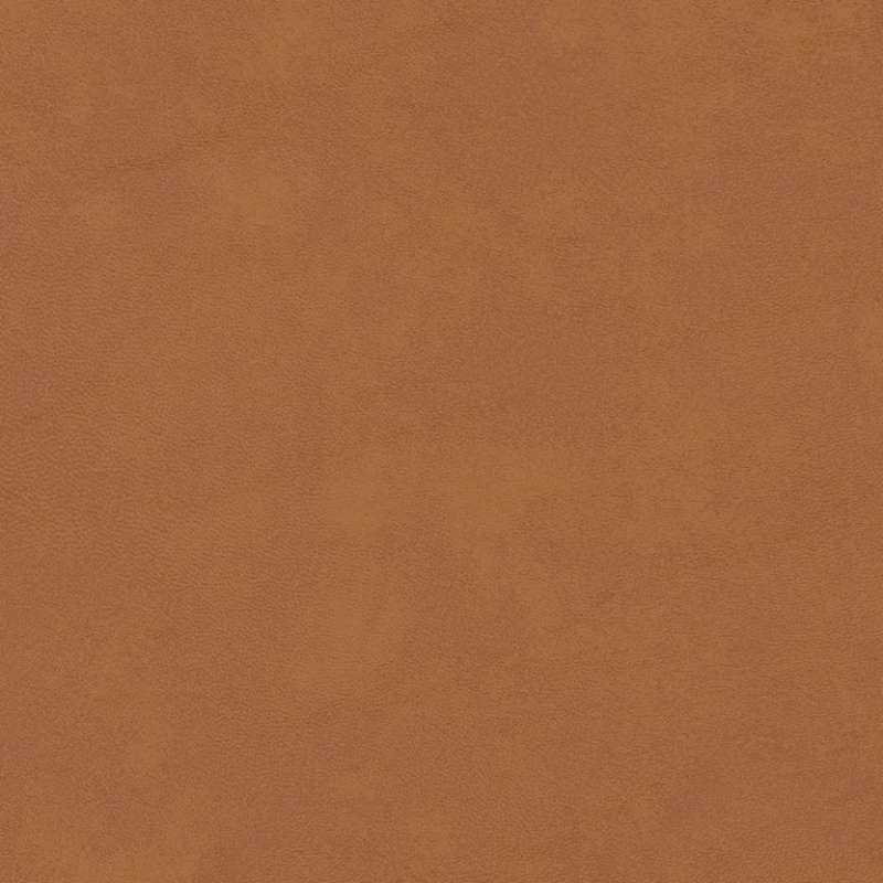 Montana 2.0 Wheat