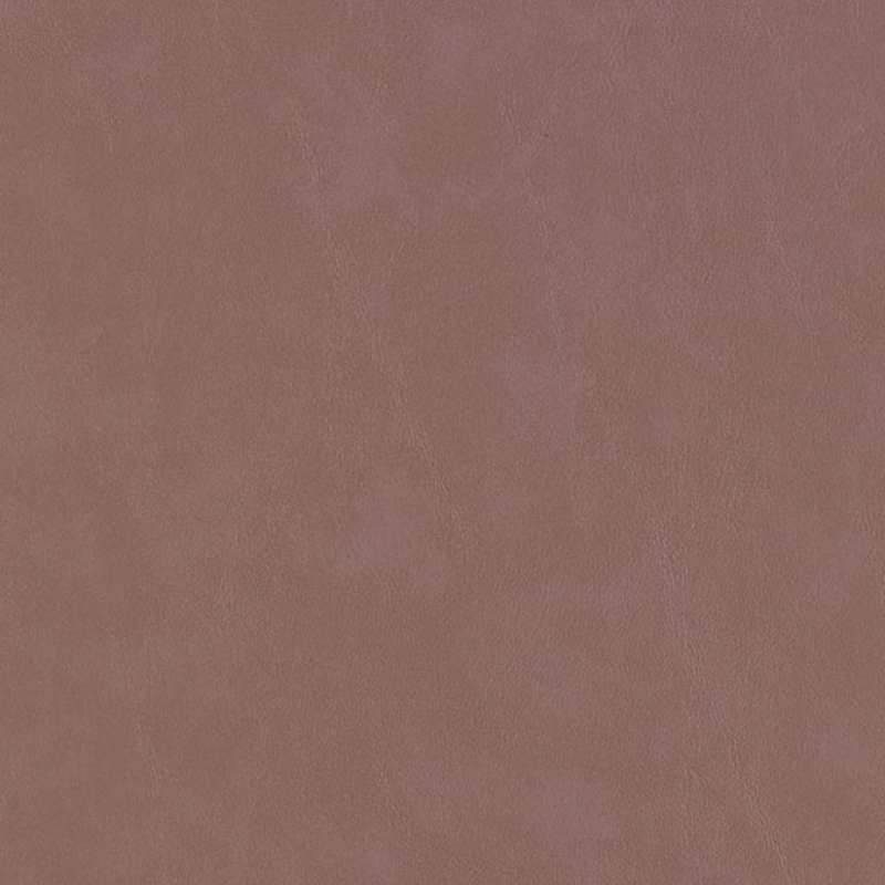 Montana 2.0 Shadow