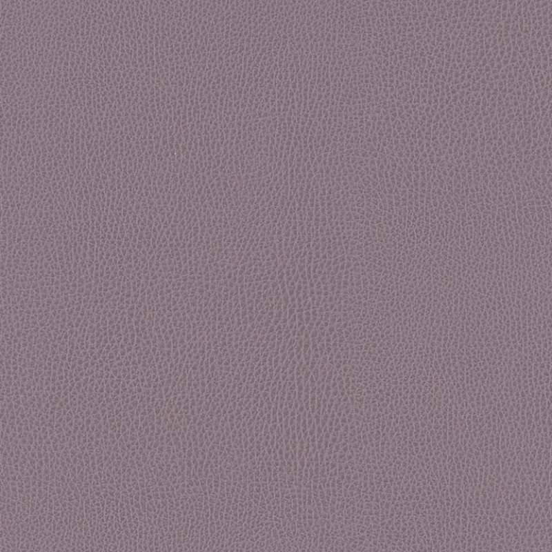 Mooskin Damson