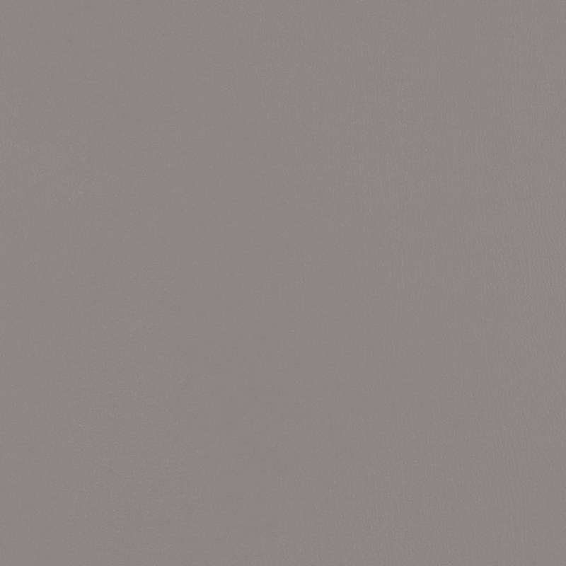 Not A Hide Dusky