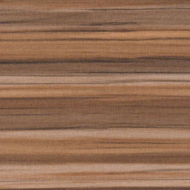 Perspective Sequoia