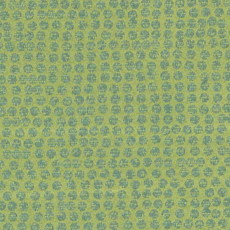 Polka Limelight