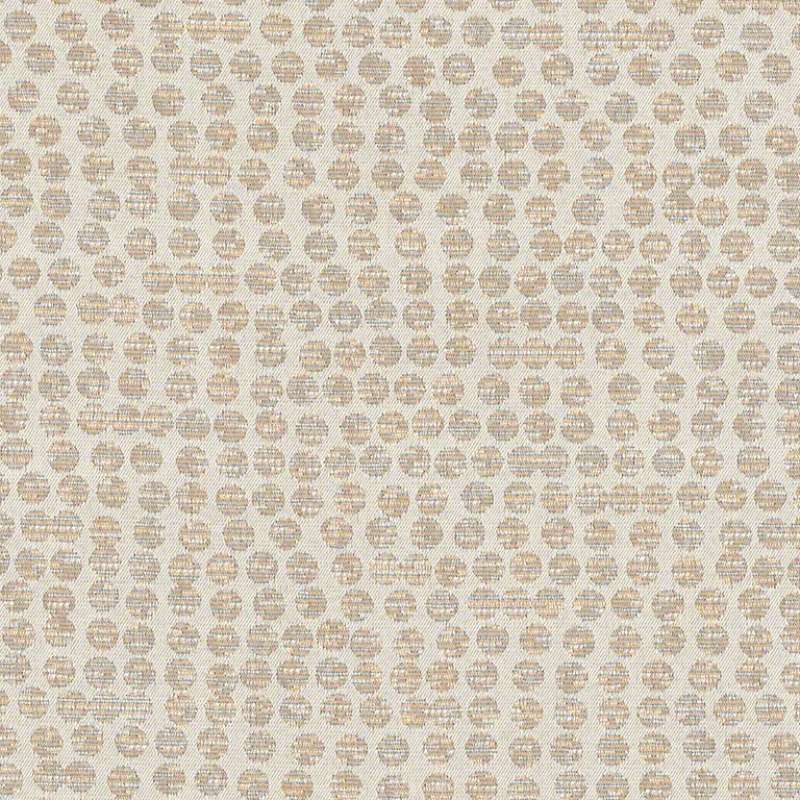 Polka Champagne