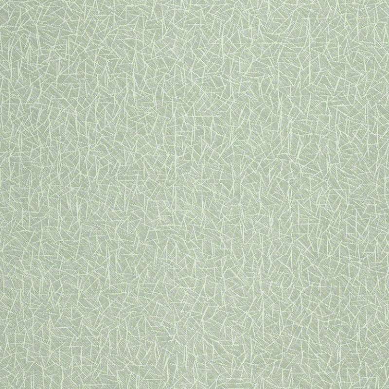 Prisma Evergreen