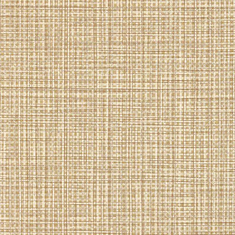 Raffia Cinema
