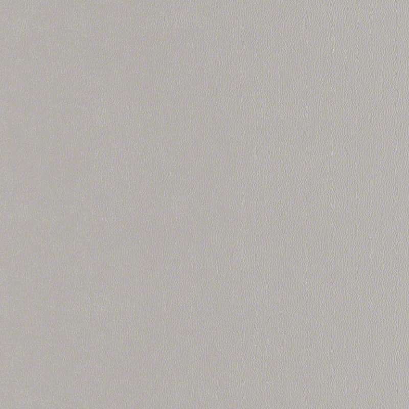 Rally Dove