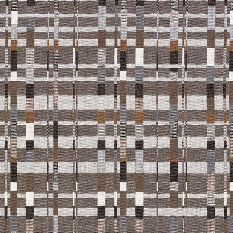 Rhythm Calico