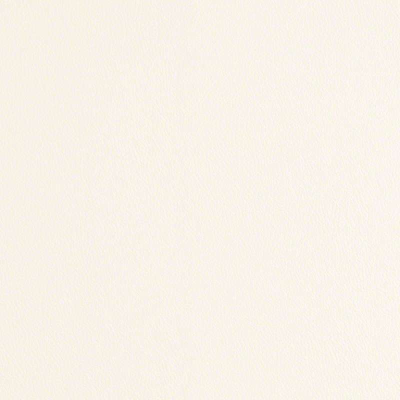 Scout 2.0 Snow