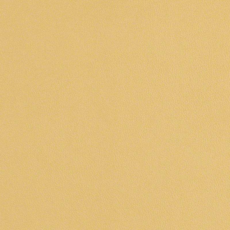 Scout 2.0 Butter