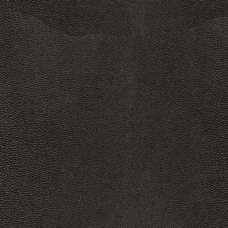 Shagreen Poppy