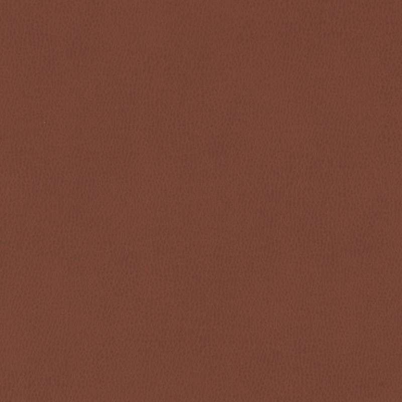 Silicone Mountain Carnelian